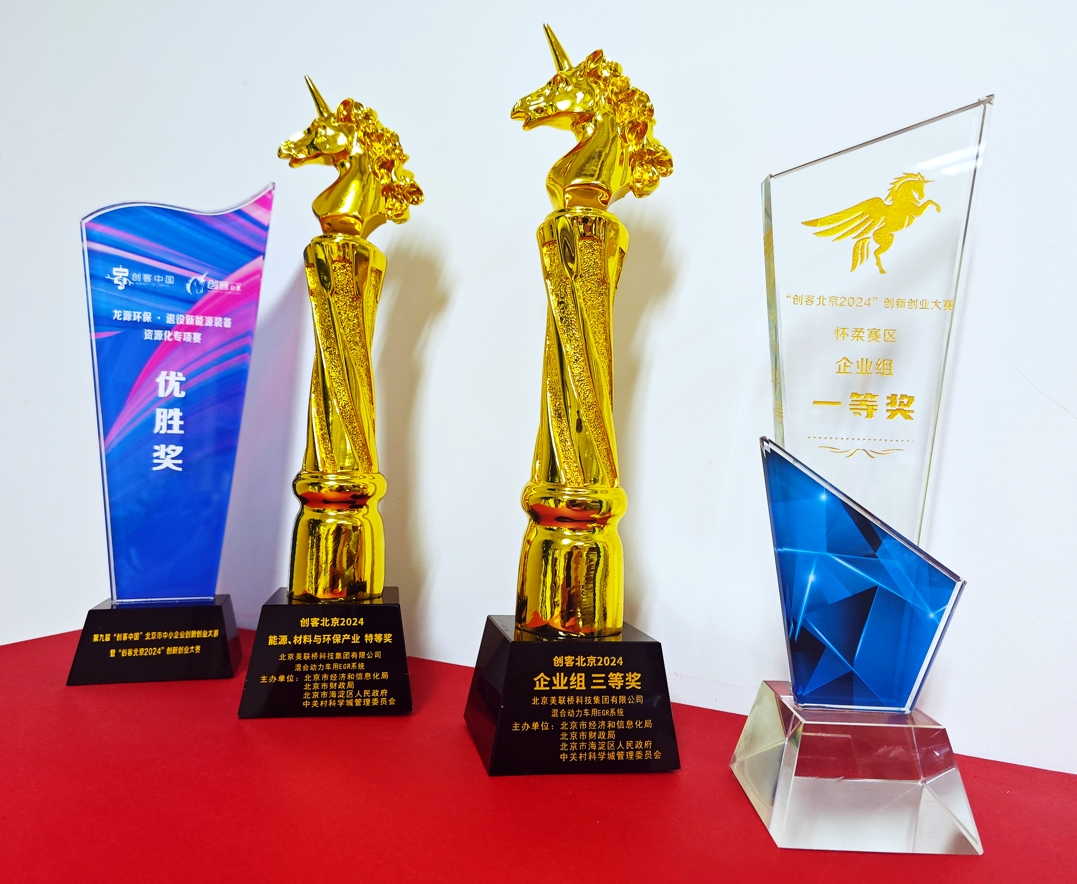 ʿƼųȻ춯EGRϵͳĿͱ2024չǿΧ й2024 